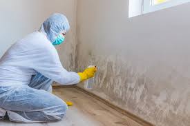 Mold Removal for HVAC Installations in Bakersfield Country Clu, CA